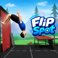 Flip Spot img